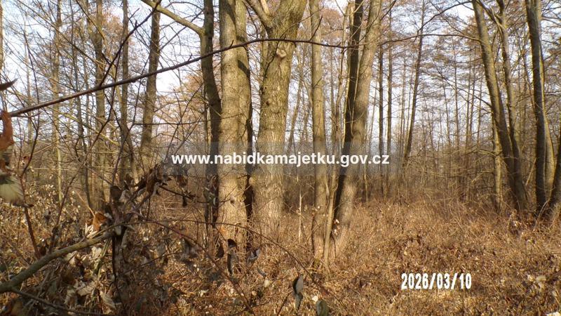 k.ú. Běšiny - pozemky 980/11 a 980/13 — fotka 4