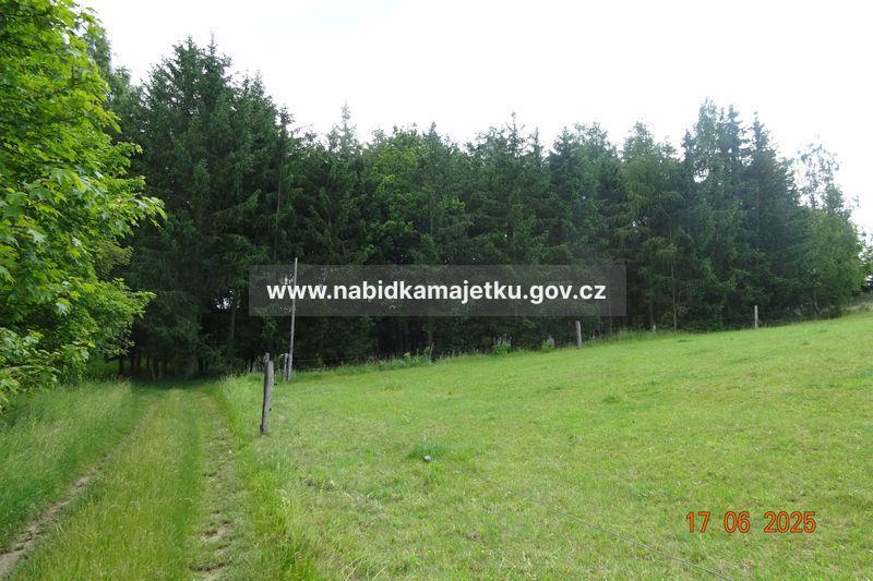 Krásné Údolí u Černošína - pozemky parc.č. 77/6, 343, lesní pozemky, PUPFL -  (kopie 1-16.02.2026 08:48) — fotka 3