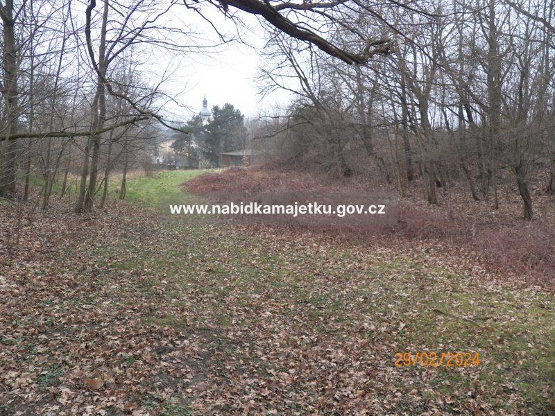 PRODEJ - STACHOVICE p.č. 1202 — fotka 2