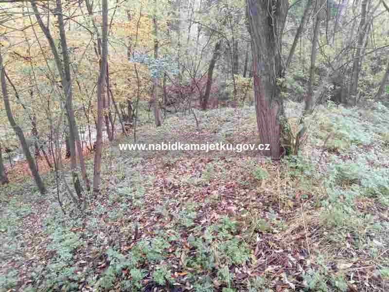 Županovice - pozemková parc. č. 541 — fotka 2