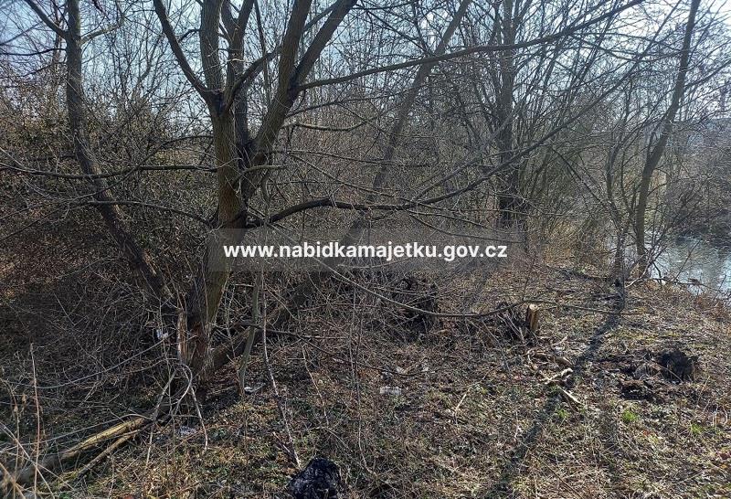 POZEMEK P. Č. 859/1 O VÝMĚŘE 1156 M2 V K. Ú. RUDOLICE NAD BÍLINOU, OBEC MOST — fotka 3
