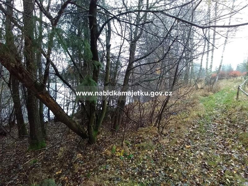 Pozemkové parcely č. 1159/6, 1359, 1360 v k.ú. Doubice, obec Doubice — fotka 7