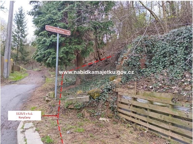 KORYČANY, POZEMEK PARC.Č. 1125/1 – OSTATNÍ PLOCHA, JINÁ PLOCHA — fotka 3