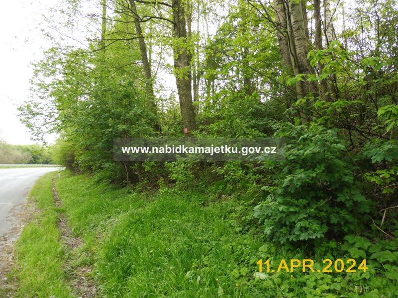 K.Ú. Rychvald, obec Rychvald, POZEMKY PARC.Č. 6837/18 a 6837/21 — fotka 3