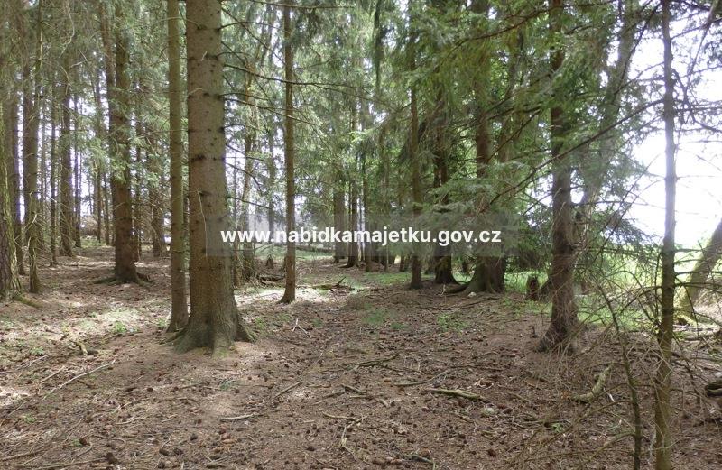 Malý Ježov parc. č. 1304/2, EA č. CTA/086A/2026