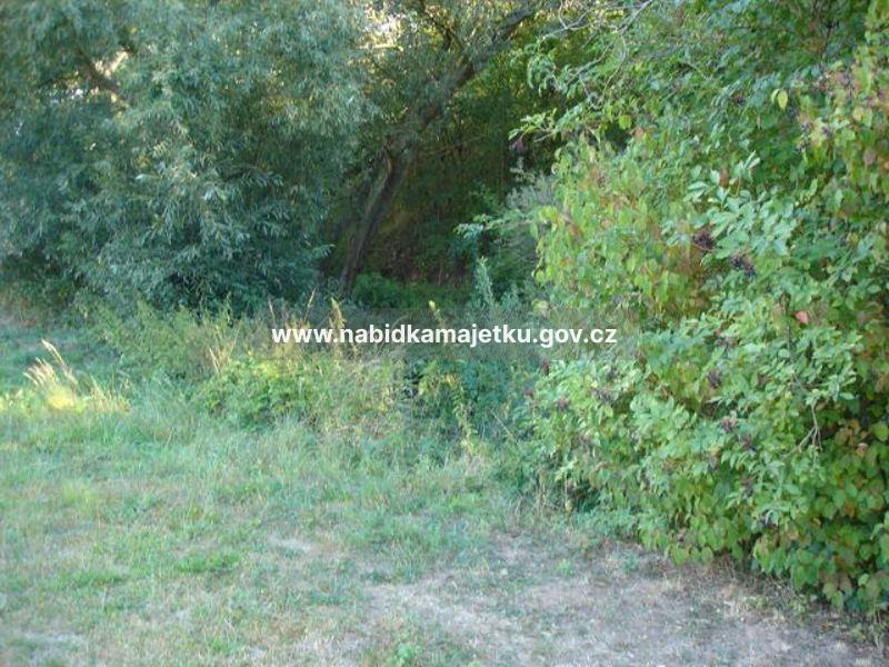 Opočno u Loun p.p.č. 915/2 o výměře 23 m2 (podíl 1/2) — fotka 2