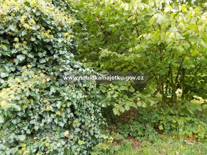k. ú. Malé Dvorce, p.p.č. 827 — fotka 3