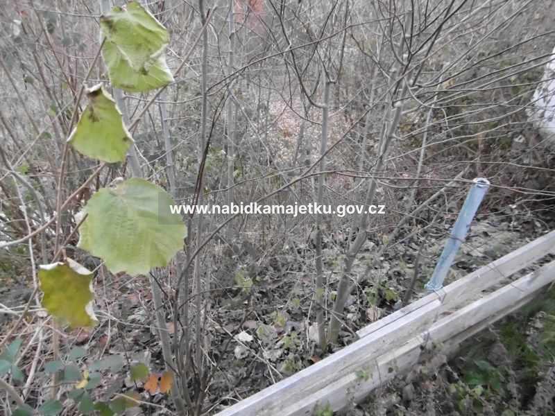Zahrada v Kostelci nad Černými lesy - pozemek p.č. 2642 — fotka 5