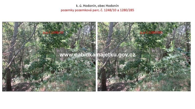 Hodonín, pozemková parc. č. 1242/3, 1242/117, 1242/121, 1242/129, 1248/10, 1280/285, 1280/315, 2861/29 a 9330 — fotka 7