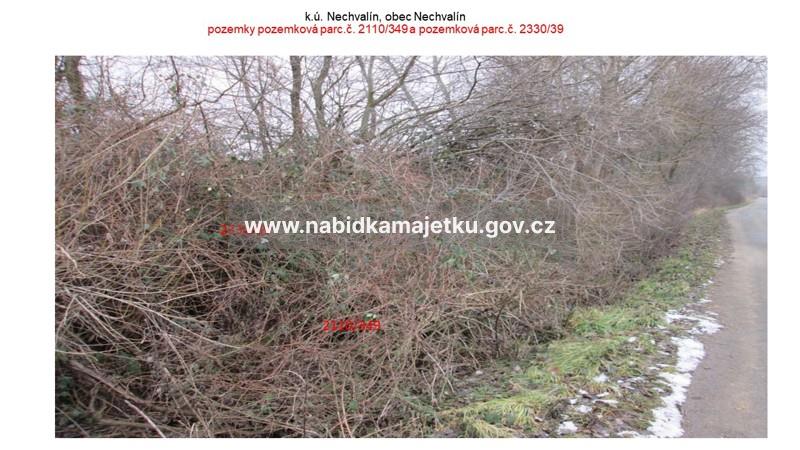 Nechvalín, p.č. 2110/349, p.č. 2330/39 — fotka 4