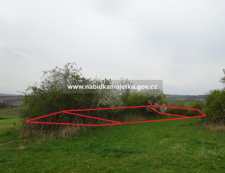 EA/BBV/53/2026 - k.ú. Klobouky u Brna, pozemky parc. č. 2682/36, 2684/26, 2685/16, 2688/16, 2690/16, 2692/17 — fotka 2