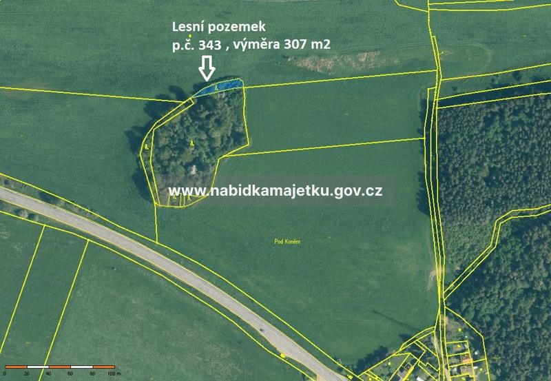 Krásné Údolí u Černošína - pozemky parc.č. 77/6, 343, lesní pozemky, PUPFL -  (kopie 1-16.02.2026 08:48) — fotka 2