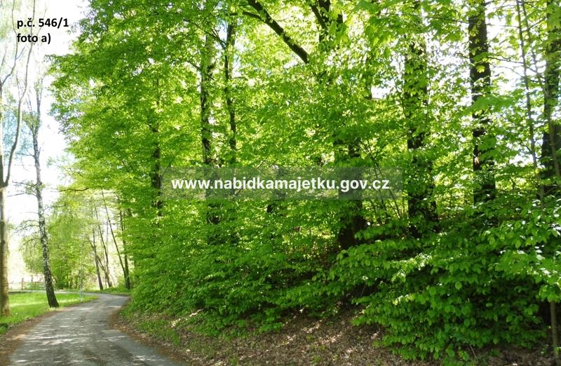 SPOLUVLASTNICKÝ PODÍL ID. 1/5 NA POZEMCÍCH P.Č. 519/6, 546/1, K.Ú.PETŘVALD U KARVINÉ, OBEC PETŘVALD — fotka 3