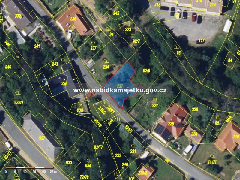 DEŠNÁ, POZEMEK PARC.Č. 237 - OSTATNÍ PLOCHA, JINÁ PLOCHA
