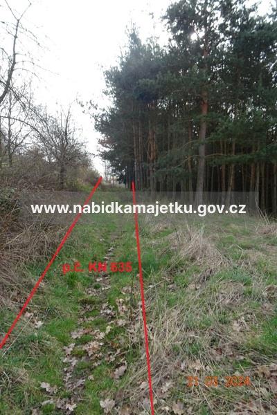 Pozemek p.č. KN 635 k.ú. Zelené — fotka 2