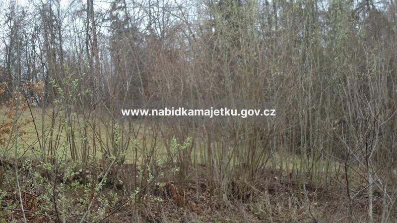 Pozemky p.p.č. 473/1 a p.p.č. 659/1 v k.ú. Bartoňov — fotka 4