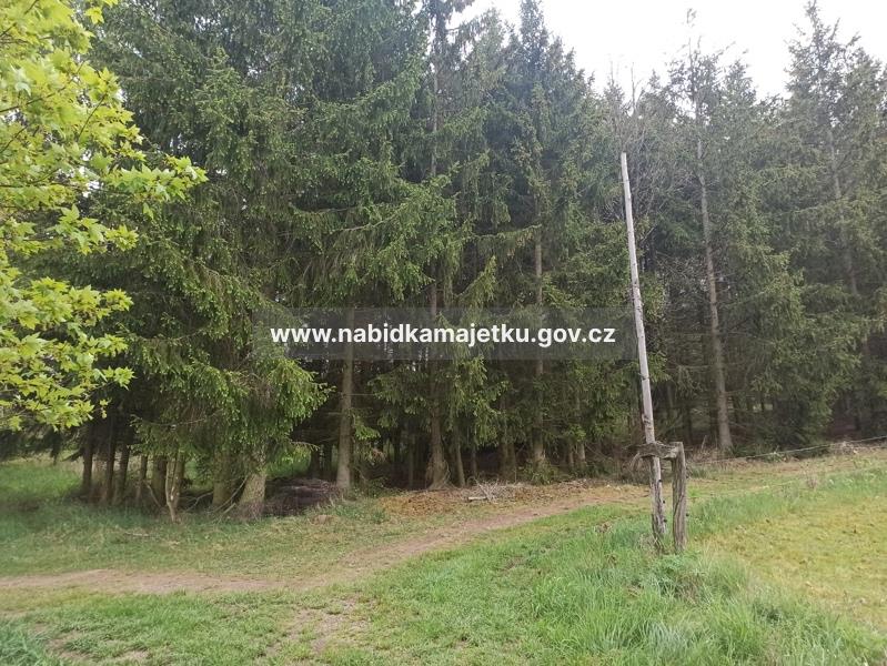 Krásné Údolí u Černošína - pozemky parc.č. 77/6, 343, lesní pozemky, PUPFL -  (kopie 1-16.02.2026 08:48) — fotka 4