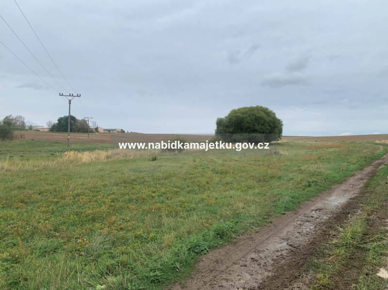 Pozemek p. č. 3133, včetně studny v k.ú. Jazovice — fotka 3