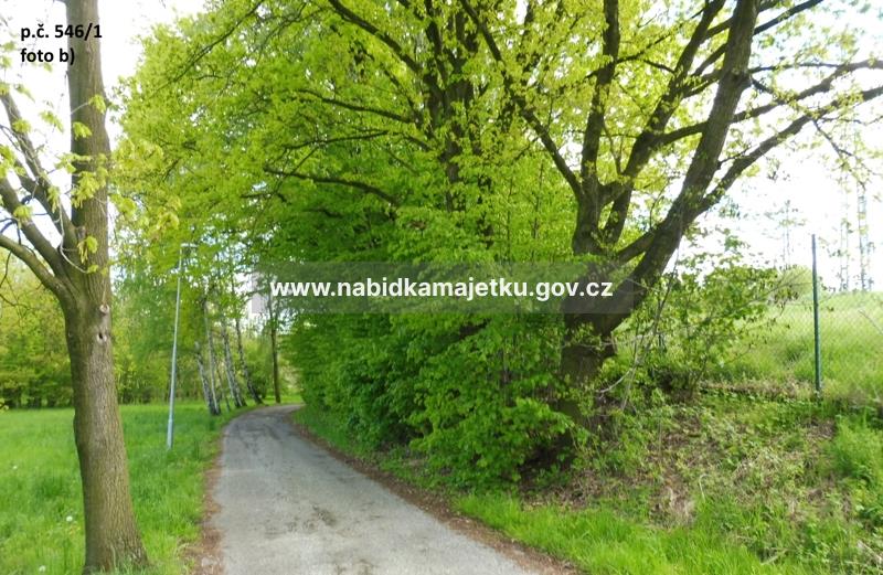 SPOLUVLASTNICKÝ PODÍL ID. 1/5 NA POZEMCÍCH P.Č. 519/6, 546/1, K.Ú.PETŘVALD U KARVINÉ, OBEC PETŘVALD — fotka 4
