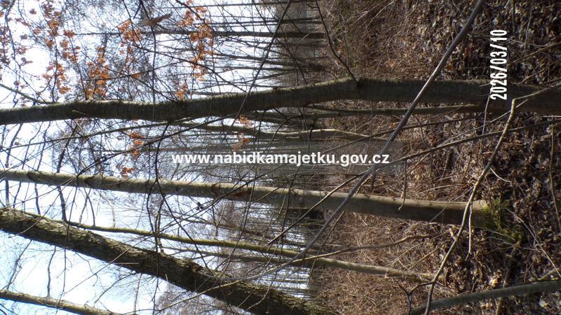 k.ú. Běšiny - pozemky 980/11 a 980/13 — fotka 3