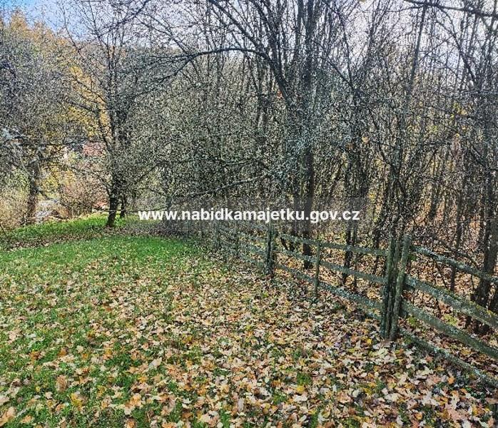 Šarovy, pozemek parc.č. 55/1 — fotka 2