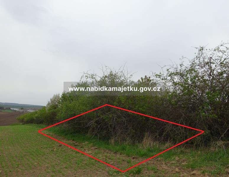 EA/BBV/53/2026 - k.ú. Klobouky u Brna, pozemky parc. č. 2682/36, 2684/26, 2685/16, 2688/16, 2690/16, 2692/17 — fotka 4