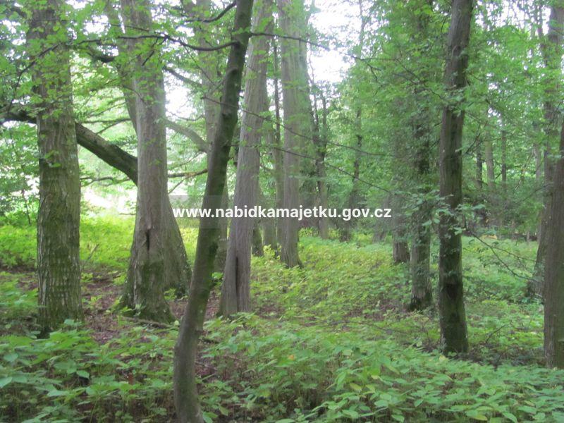 Proseč-Obořiště - parc. č. 71/15 — fotka 2