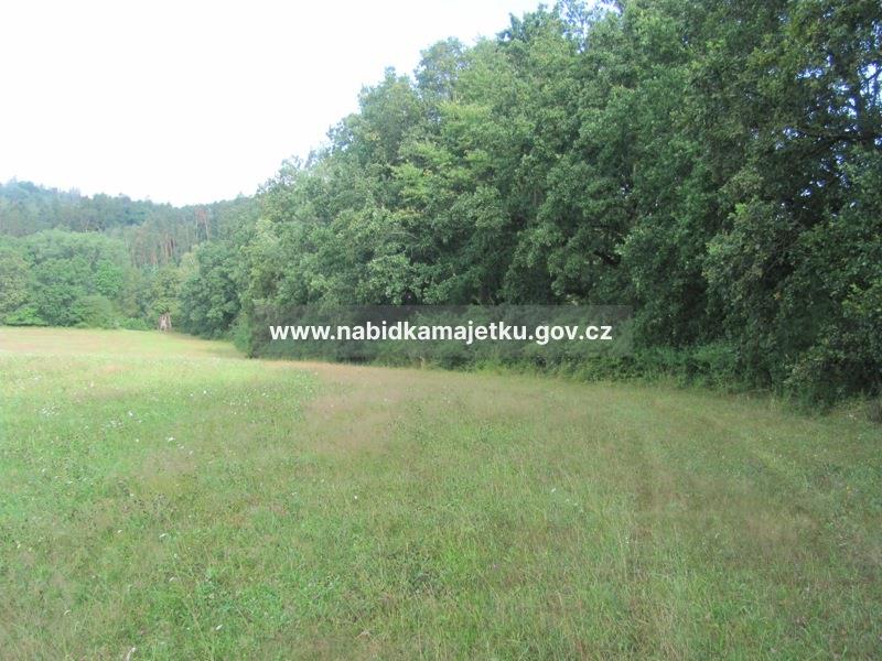 K.Ú. BOLECHOV - PARC.Č. 77/3