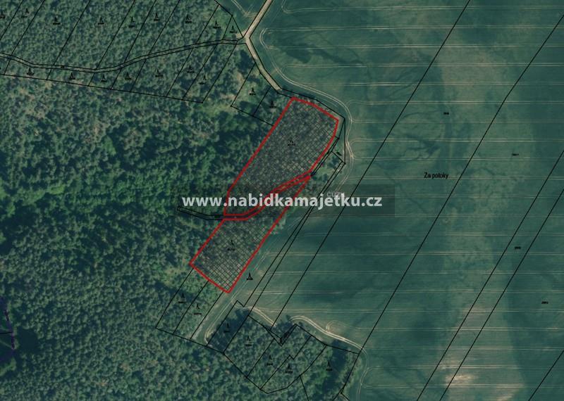 Břežany u Rakovníka, id. 1/2 pozemků parc.č. 213/51, 303/115 a 303/116 — fotka 3