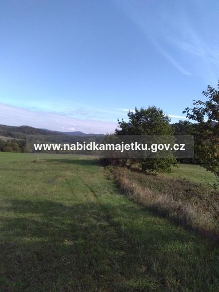 Pozemková parcela č. 2693 v k.ú. Velká Bukovina, obec Velká Bukovina — fotka 3