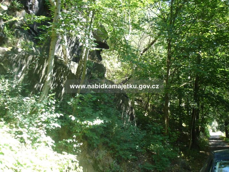 k.ú. Klášterec nad Ohří, pozemek p.č. 1326/1, o výměře 14 146 m2 — fotka 6