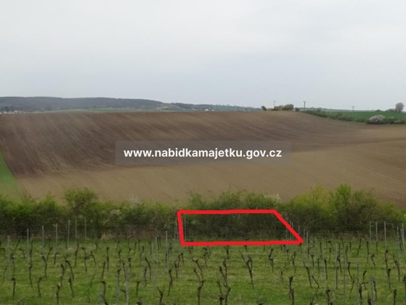 EA/BBV/53/2026 - k.ú. Klobouky u Brna, pozemky parc. č. 2682/36, 2684/26, 2685/16, 2688/16, 2690/16, 2692/17 — fotka 5